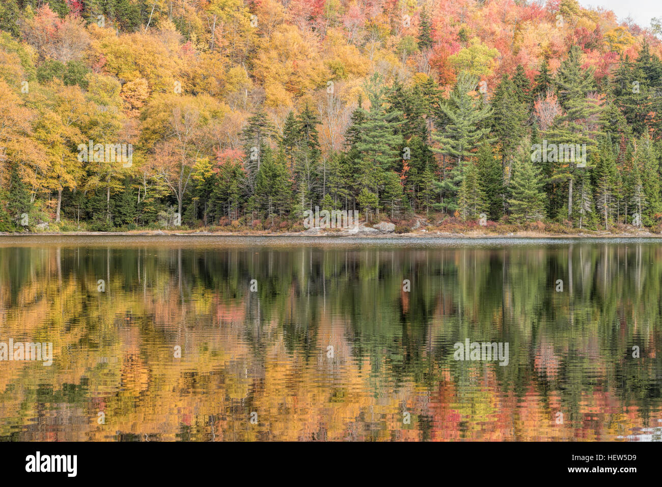 Little Rock-Teich in Vermont grünen Bergen. Stockfoto