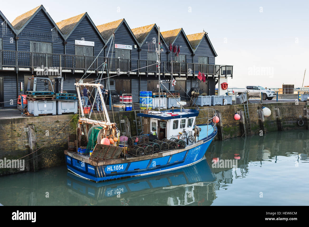 Whitstable, Großbritannien - 14. Dezember 2016. Fischer prüfen ihre neuesten Fang von Wellhornschnecken im Hafen von Whitstable. Der Hafen wurde von Canterbury und Whitst gebaut. Stockfoto