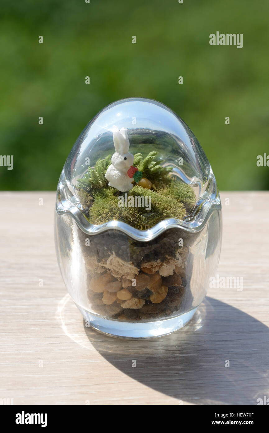 Terrarium Garten im kleinen Ei Glas Dekor mit Moos und kleine Kaninchen. Stockfoto