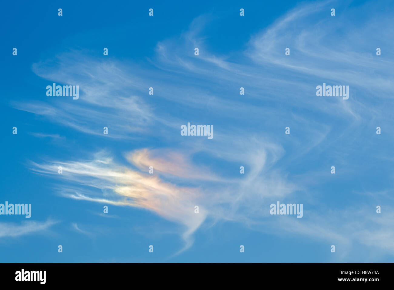 Sundog aus Bosque del Apache National Wildlife Refuge, New Mexico, USA. Stockfoto