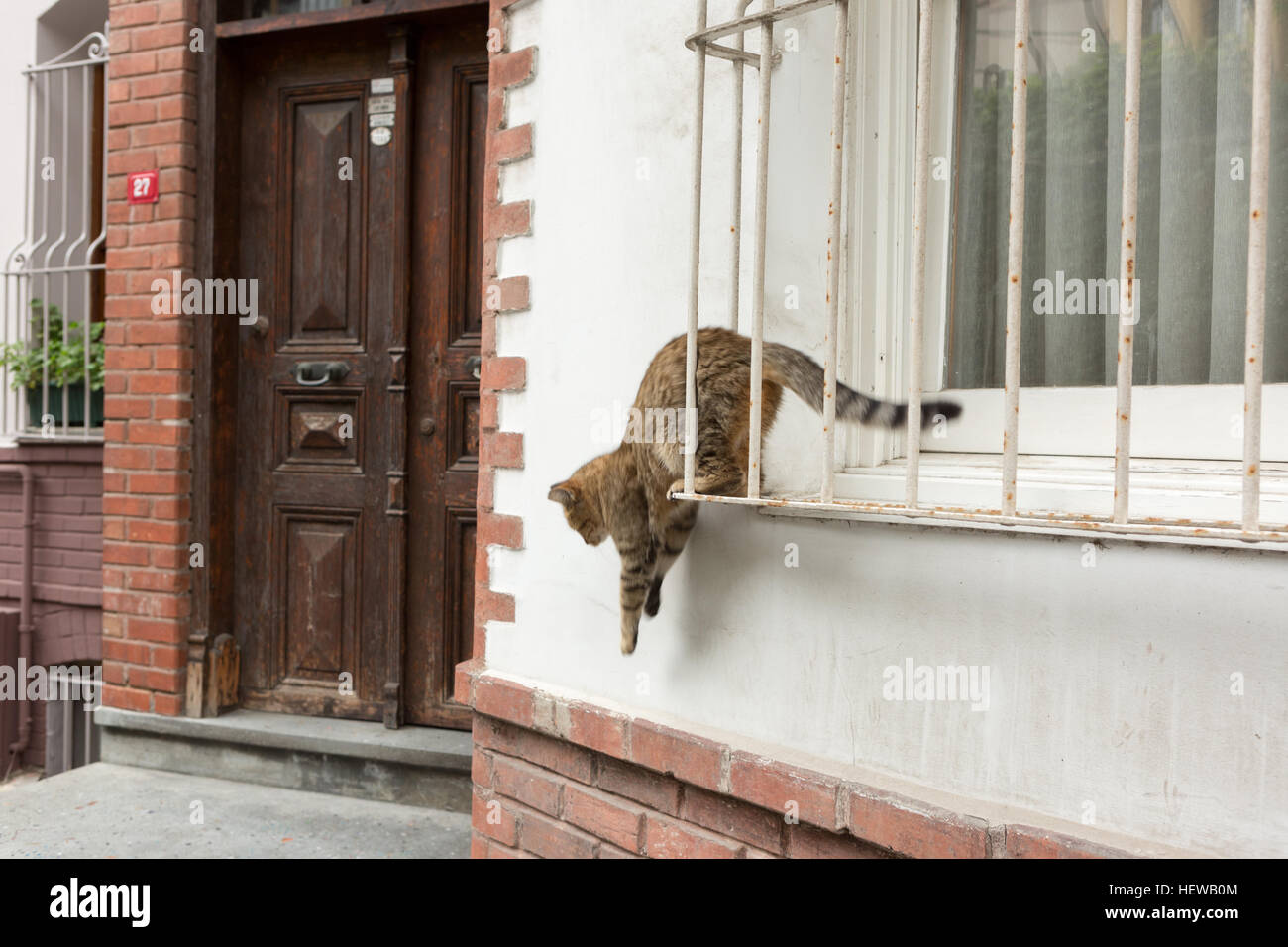 Streunende Katze im Fenster "" Straßen von Kuzguncuk, Istanbul Stockfoto