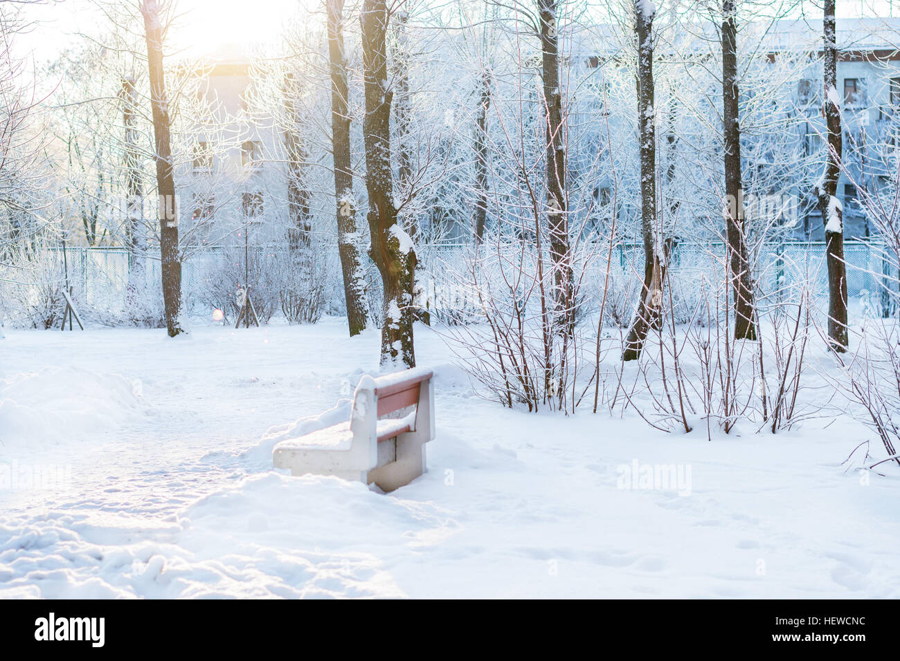 Sonniger Wintertag im Schnee Park. Fallende Schneeflocken Blendung in direktem Sonnenlicht, durch Schnee bedeckt Bäume. Selektiven Fokus auf Schneeflocken Stockfoto