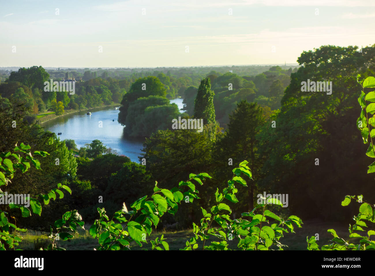 Ein Blick auf die Landschaft mit Blick auf Richmond Park in London. Stockfoto