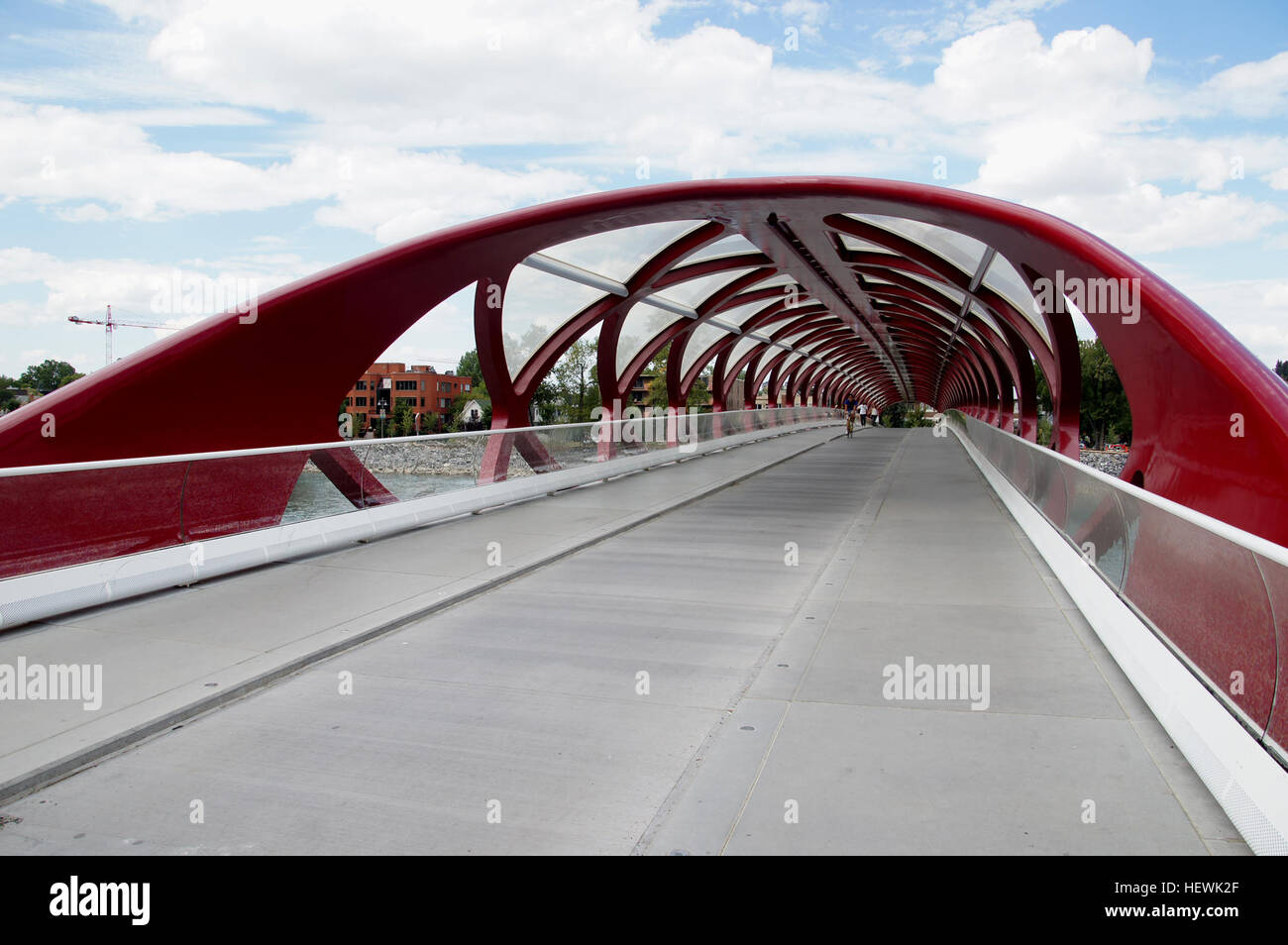 Die Friedensbrücke in Calgary, entworfen vom Architekten Santiago Calatrava, ist eine Fußgänger- und Radfahrerbrücke über den Bow River, die 2012 fertiggestellt wurde. Er verbindet die südlichen und nördlichen Wege von Calgary und beherbergt Pendler und Fußgänger in der Gegend. Stockfoto