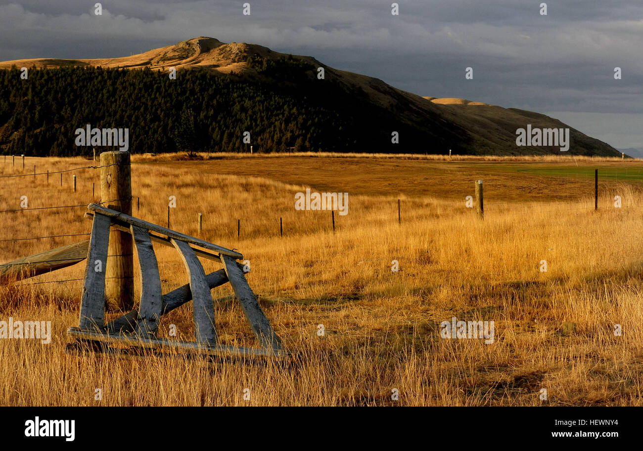 Es war die weite, die zuerst die Pionieren Bauern in die Mackenzie Basin erzogen. Große Station läuft wurden mit Schweiß und Hund, Beginn die Mackenzie-lange und andauernde Verband mit dem Hochland Schaffarm.  Lake Tekapo war gebildeten vor Tausenden von Jahren als das Gletschereis aus der letzten Eiszeit zurückzog, hinterlässt einen natürlichen Damm Geröllfelder, hinter denen der See gebildet wurde. Es war auf dieser alten Schutt, dass Mt John Station gegründet wurde und von der Station Höhepunkte, atemberaubende Ausblicke auf Lake Tekapo und der Mackenzie sind eine wahre Augenweide. Stockfoto