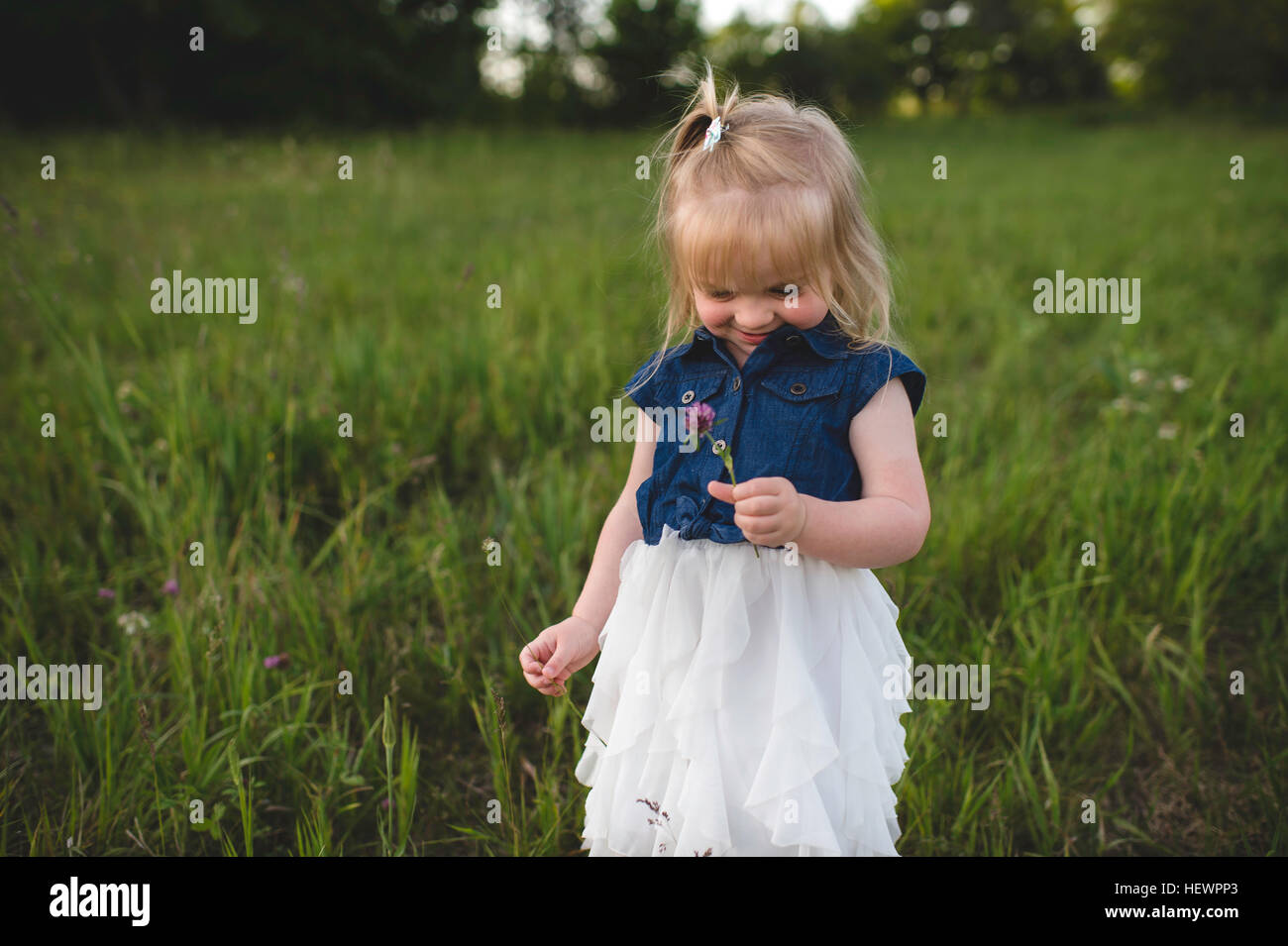 Mädchen im Feld Betrieb Blume Stockfoto