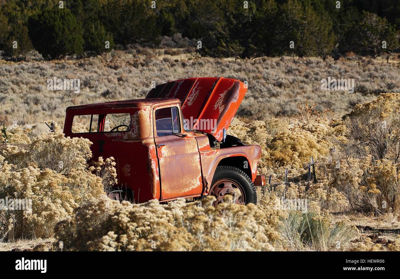 Ein Pickup-Truck ist eine leichte LKW mit einer geschlossenen Kabine und eine offene Ladefläche mit niedrigen Seiten und Heckklappe. Sobald ein Arbeitsgerät mit einigen Komfort, in den 1950er Jahren Verbraucher begann Kauf Pickups aus Lifestyle-Gründen und in den 1990er Jahren berichteten weniger als 15 Prozent der Besitzer Verwendung in Arbeit als Hauptzweck der Pickup-Truck. Heute wird in Nordamerika, der Pickup wie ein Pkw und Konten für etwa 18 Prozent der insgesamt Fahrzeuge in den USA verkauft hauptsächlich Stockfoto