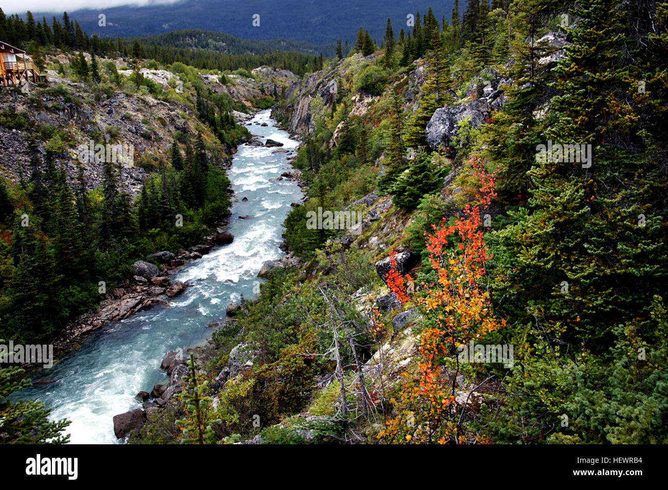 Der Yukon spielte eine entscheidende Rolle beim Klondike-Goldrausch von 1897 und zog Tausende von Goldsucher in die Region. Dieses Ereignis führte zur Migration entlang des Chilkoot Trail und zum Bau von Flößen, die auf der Suche nach Gold auf dem Yukon River navigieren sollten. Stockfoto