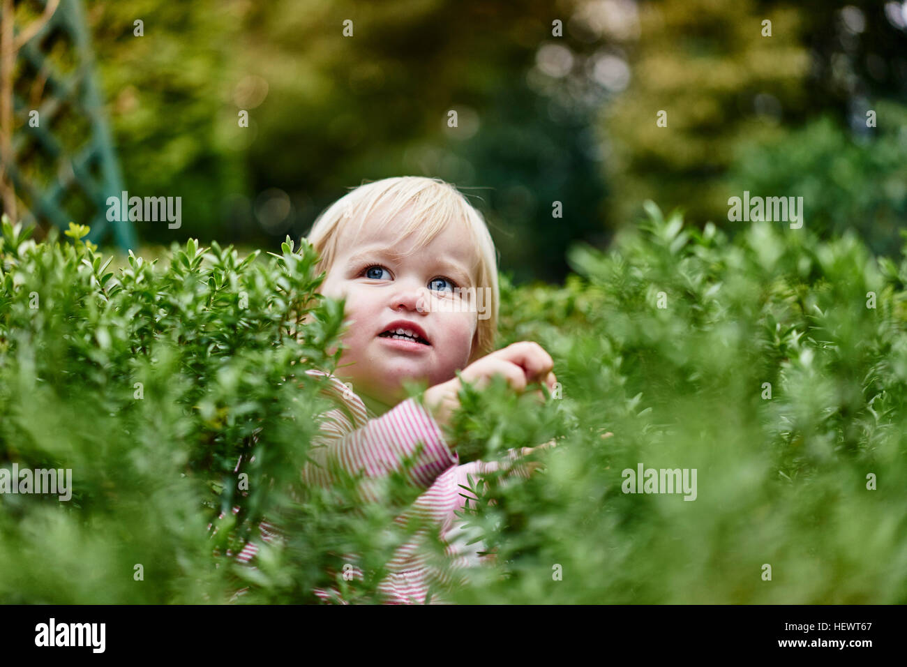 Babymädchen umgeben von Laub wegschauen Stockfoto