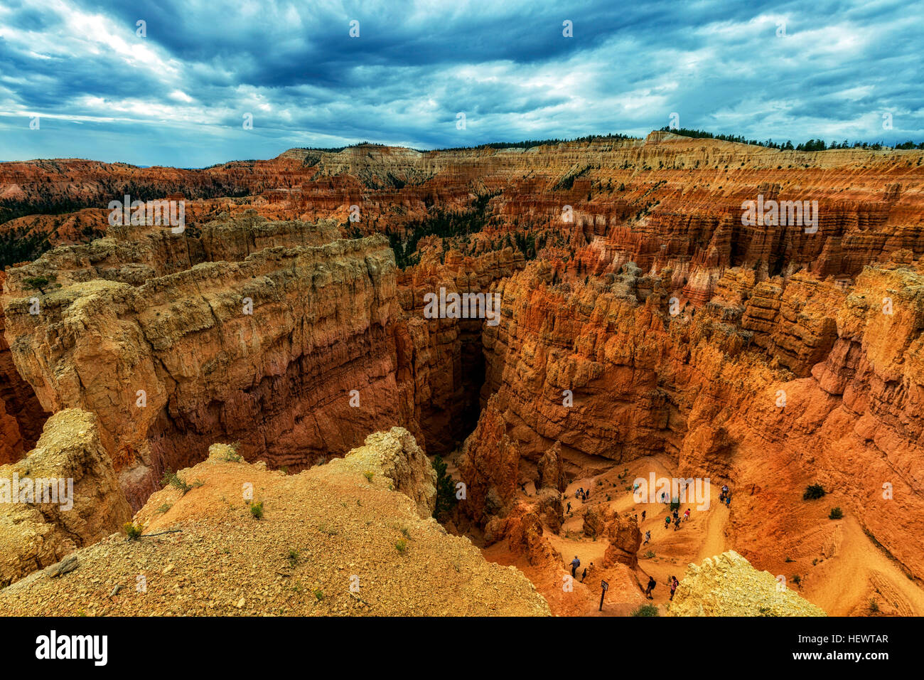 Erhöhten Blick auf die Felsformationen aus Sandstein, Bryce Canyon, Garfield County, Utah, USA Stockfoto