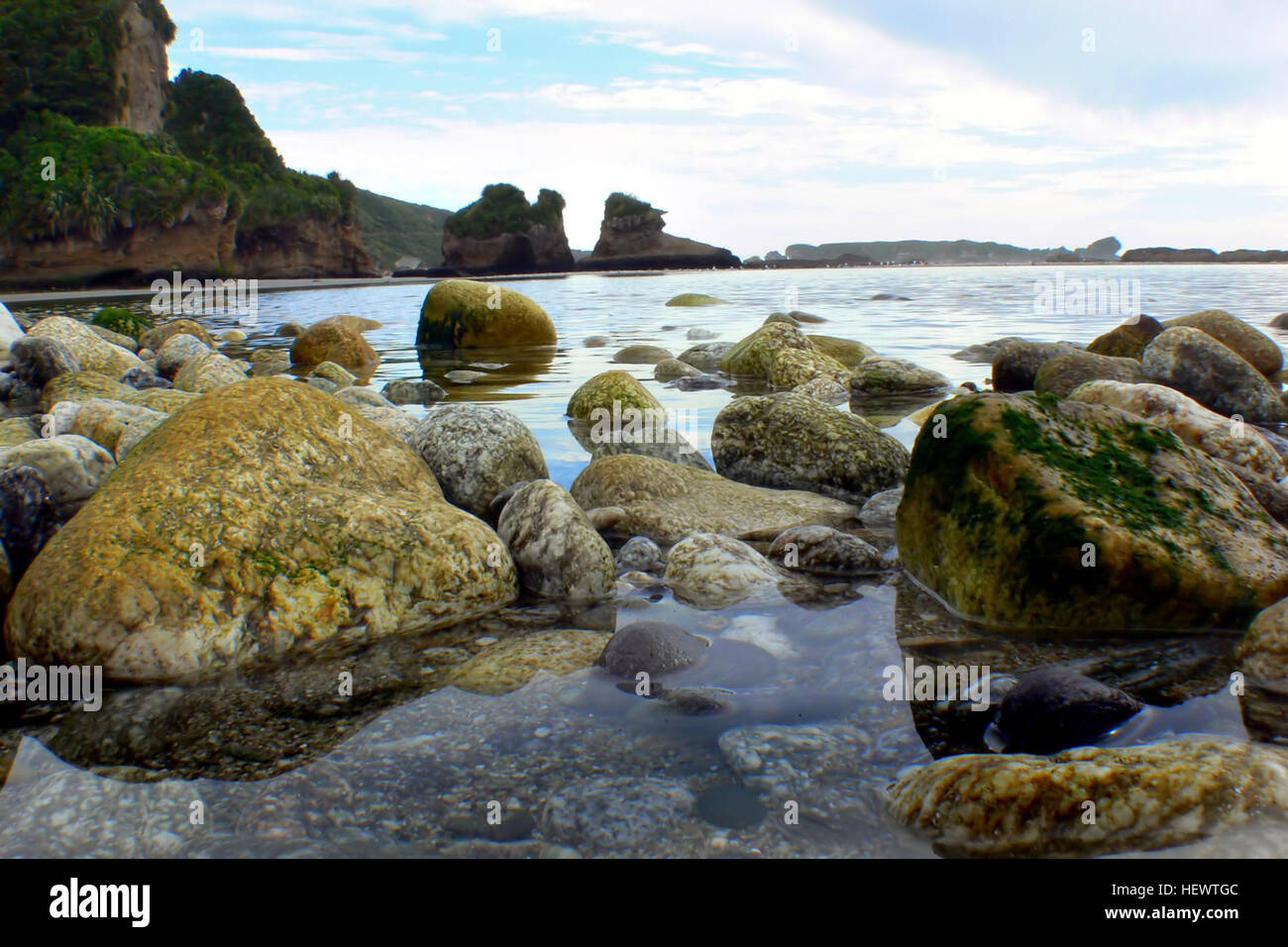 Eine ruhige Szene von Neuseelands Küste mit Treibholz entlang der Sandküste. Das Bild fängt den Rhythmus der Gezeiten ein, während sich das Wasser über den Sand bewegt, und zeigt die natürliche Schönheit und Küstenlandschaften. Stockfoto