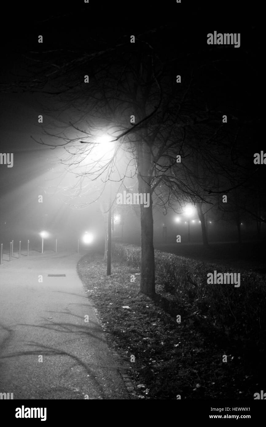 Neblig Winternacht in einem park Stockfoto