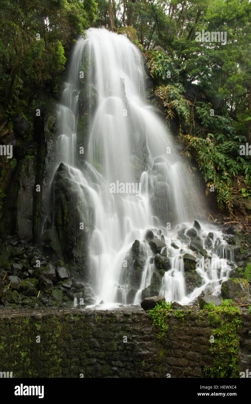 Europa, PORTUGAL, Azoren, Insel São Miguel, Parque Natural da Ribeira Dos Caldeirões, Wasserfall Stockfoto