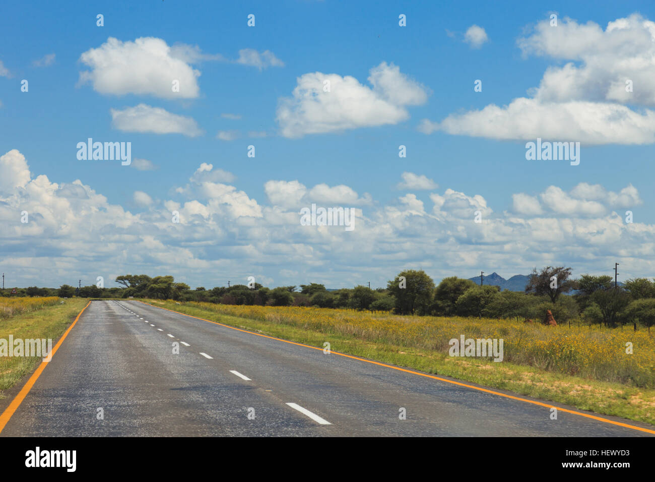 Südafrikanische Straße durch die Savannen und Wüsten mit Markierungen und Verkehrszeichen. Südafrika. Namibia. Stockfoto