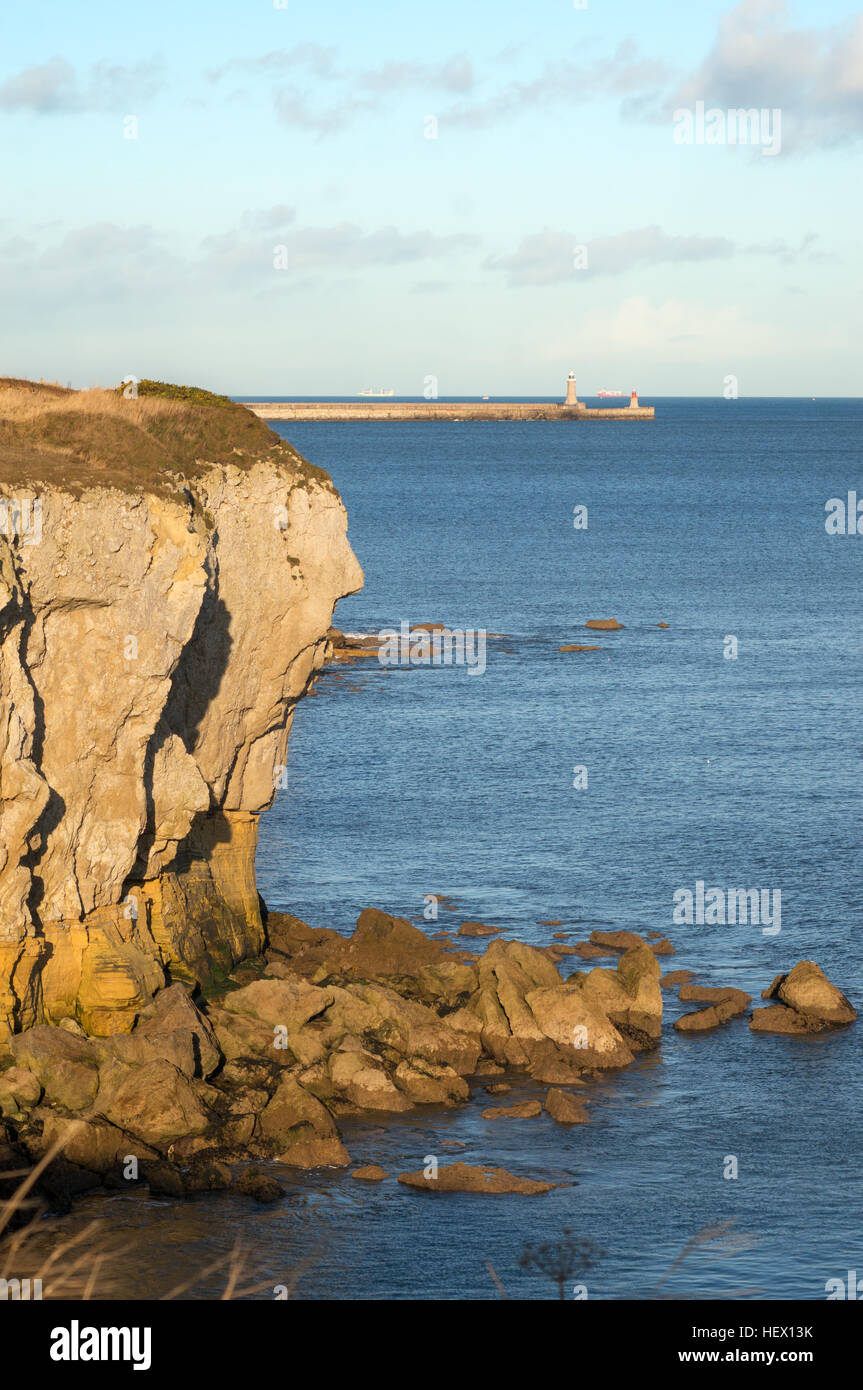 Klippen am Frenchman es Bay, South Shields, South Tyneside, England, Vereinigtes Königreich Stockfoto