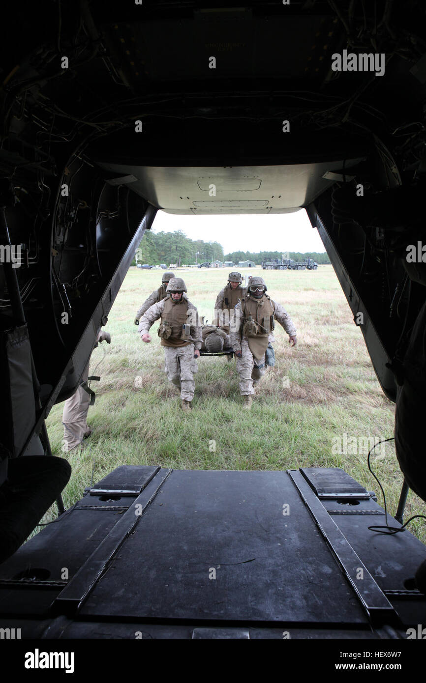 US Navy Studenten und ständige Mitarbeiter der Bereich Medical Training Bataillon-Ost (FMTB-E), Training Command, laden simulierten Unfall auf einer CH-53 Super Stallion-Hubschrauber während der Feldarbeiten an Bord Camp Johnson, N.C. Die Schüler nehmen in Feldoperationen, besser für den Kampf vorzubereiten. (Foto: U.S. Marine Corps Obergefreiter Matthew Herbet / veröffentlicht) FMTB Field Operations 140324-M-DE805-004 Stockfoto