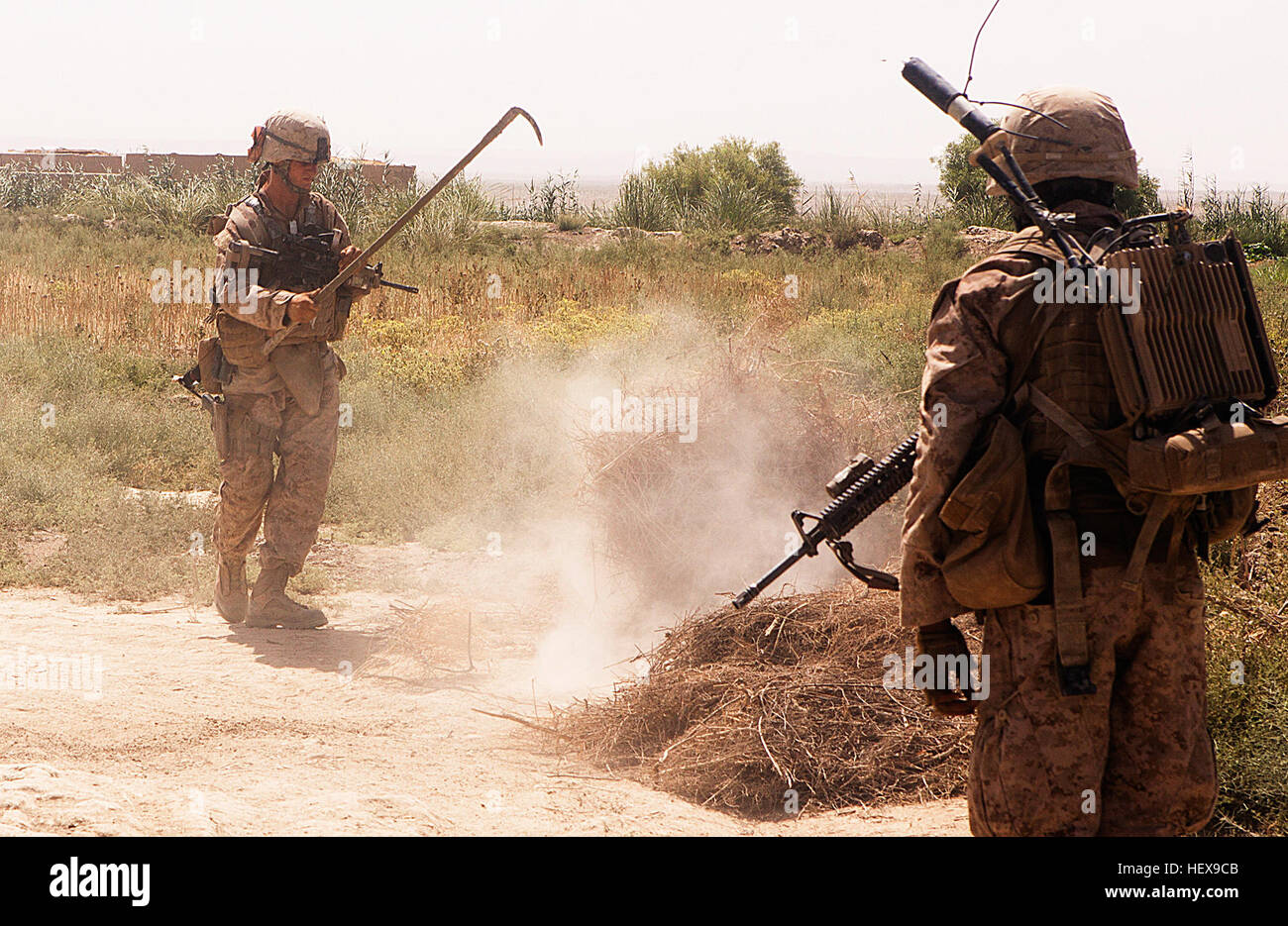 GARMSIR DISTRICT, Provinz Helmand, Islamische Republik Afghanistan - Sicheln Lance Cpl. Scott Knapp durch einen Heuhaufen während einer Sicherheitspatrouille hier, 7.Juni. Knapp, gebürtig aus Orlando, Florida, ist ein Hundeführer mit 3. Kader, 2. Platoon, Charlie Kompanie. Während der Patrouille fand seine Mannschaft eine improvisierte explosive Vorrichtung. Die Mannschaft hat drei Sprengsätze, das Beste aus jeder Mannschaft im 1. Bataillon, 3. Marine Regiment während der Bereitstellung bisher begegnet. Das Bataillon unterstützt Regimental Combat Team 1, unter 2. Marine-Division (vorwärts), dient als das Grundkampfelement in Helmand. Die missi Stockfoto