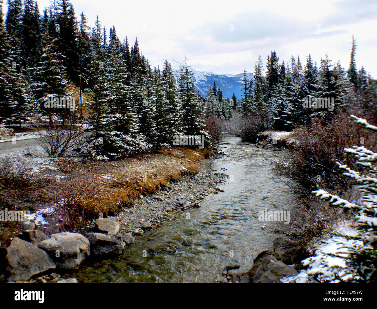 Der Bow River in Alberta fließt von den Rocky Mountains durch Calgary und mündet in den Oldman River und bildet den South Saskatchewan River. Der Fluss ist lebenswichtig für die Landschaft, er fließt durch den Banff National Park und prägt die Identität der Region. Stockfoto