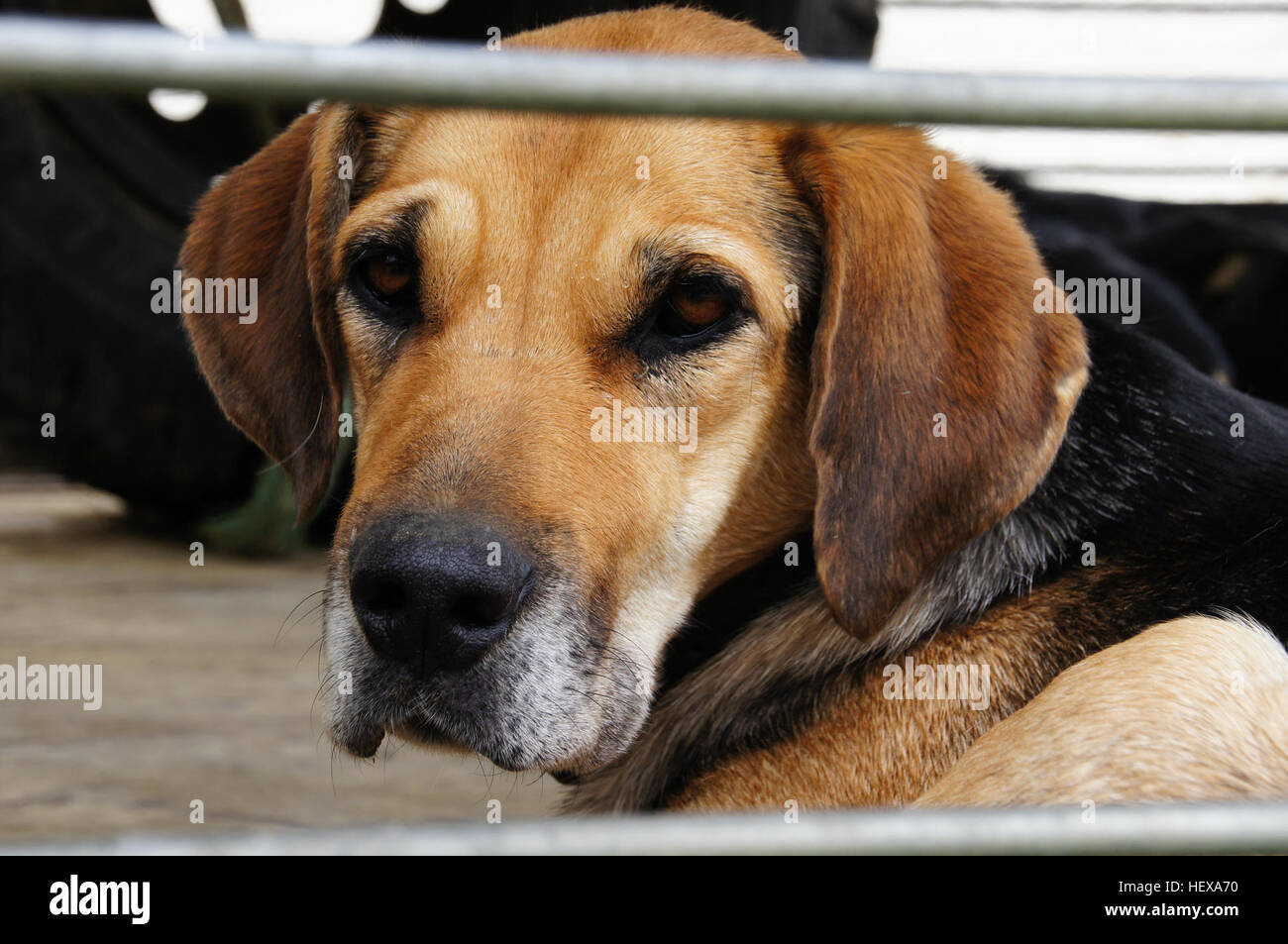 Das mit einer DSC-Kamera VON SONY aufgenommene Foto zeigt ein klares, hochwertiges Bild, das die Szene mit gestochen scharfen Details und Schärfe erfasst und die fortschrittliche Technologie moderner Digitalkameras demonstriert. Stockfoto