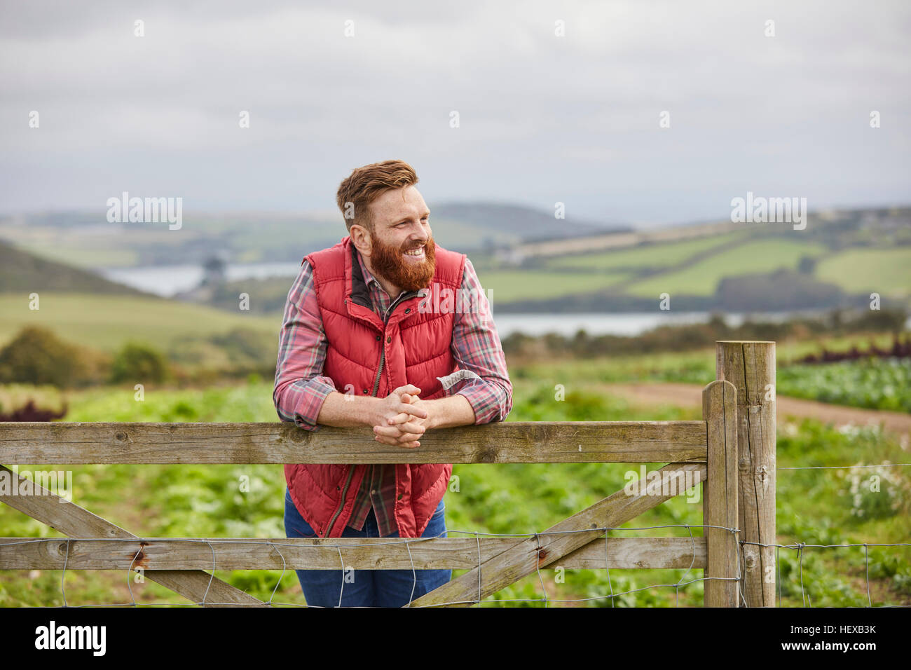 Mann auf Farm Gate wegsehen gelehnt Stockfoto