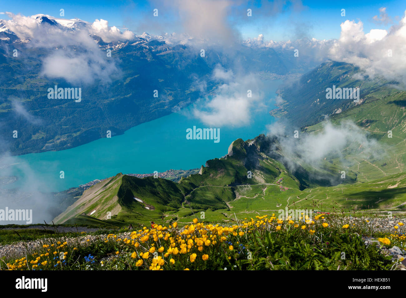 Erhöhte Sicht auf Fluss durch Tal, Brienzer Rothorn, Berner Oberland, Schweiz Stockfoto