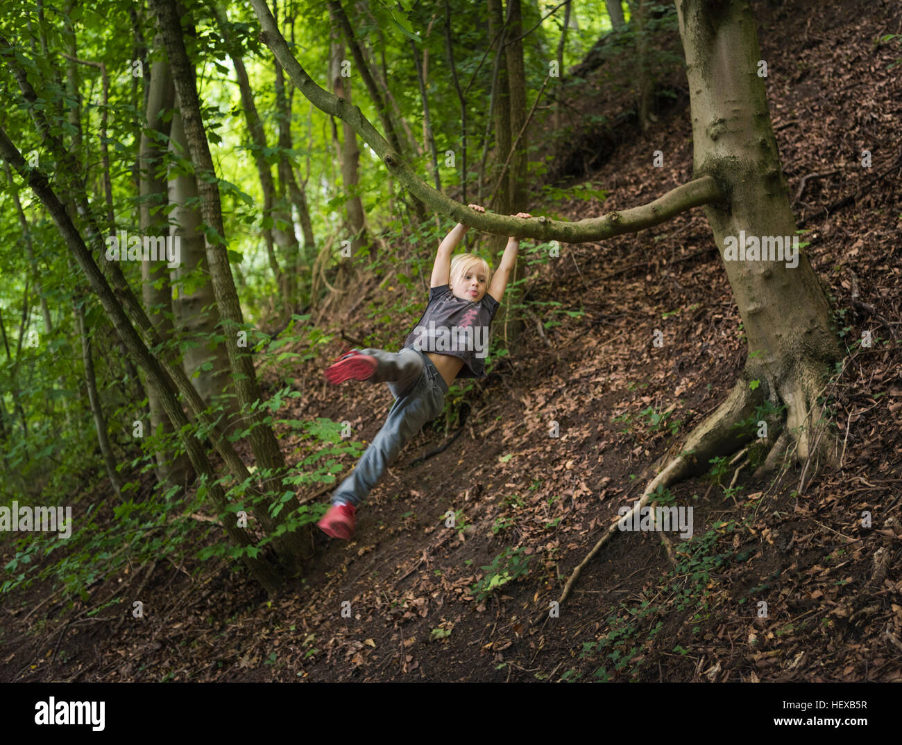 Junge im Wald am Baum schwingen Stockfoto