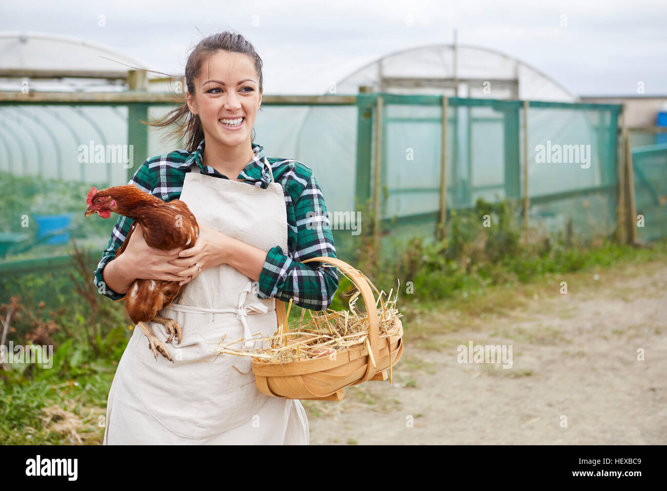 Frau auf der Hühnerfarm mit Huhn Stockfoto