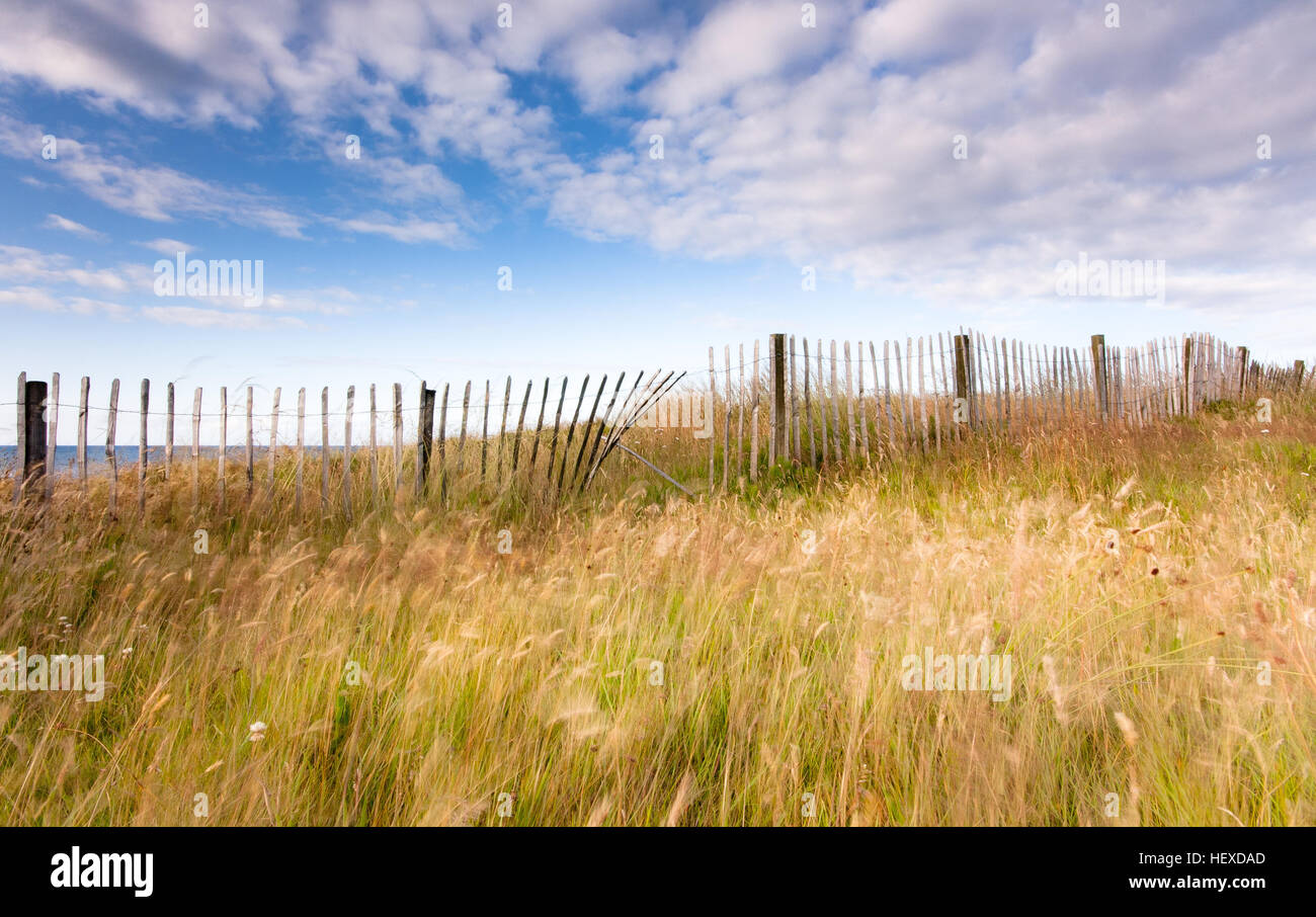 Klapprigen alten Holzzaun und Sommer Gräser unter blauem Himmel mit flauschigen Wolken am Meer an der Whitley Bay in England Stockfoto