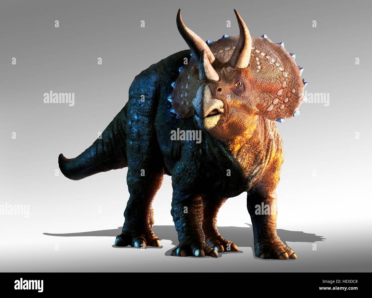 Artwork eines Triceratops Horridus Dinosauriers. Diese Tiere wurden häufig in der späten Kreidezeit vor etwa 70 Millionen Jahren bis zum Aussterben der Dinosaurier vor 65 Millionen Jahren. Triceratops war ein pflanzenfressender Dinosaurier, der eine Länge von bis zu neun Metern erreichen konnte. Seine Hörner und seinen Hals Schild verwendet, um sich gegen Angriffe zu verteidigen. Wie moderne Ebenen Tiere können sie gelebt haben in Herden, im heutigen Nordamerika. Stockfoto