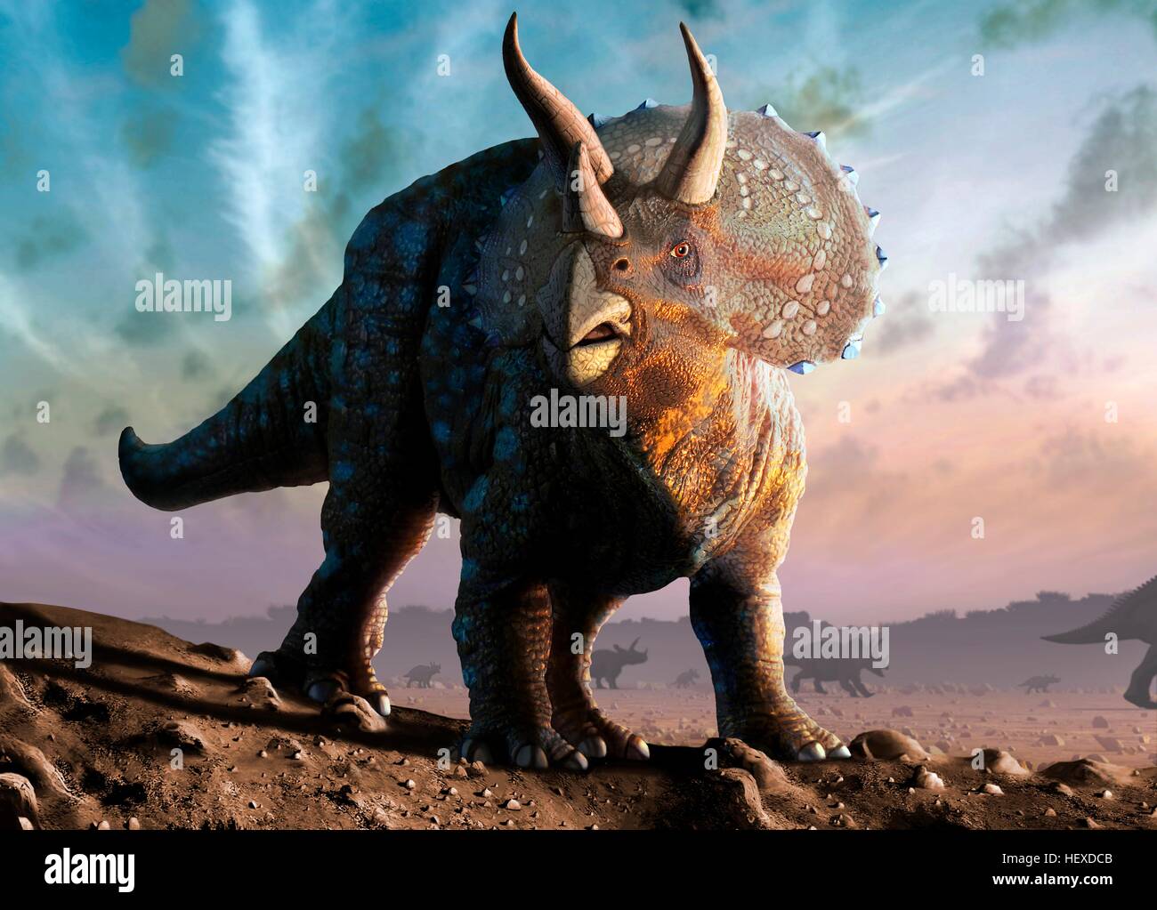 Artwork eines Triceratops Horridus Dinosauriers. Diese Tiere wurden häufig in der späten Kreidezeit vor etwa 70 Millionen Jahren bis zum Aussterben der Dinosaurier vor 65 Millionen Jahren. Triceratops war ein pflanzenfressender Dinosaurier, der eine Länge von bis zu neun Metern erreichen konnte. Seine Hörner und seinen Hals Schild verwendet, um sich gegen Angriffe zu verteidigen. Wie moderne Ebenen Tiere können sie gelebt haben in Herden, im heutigen Nordamerika. Stockfoto