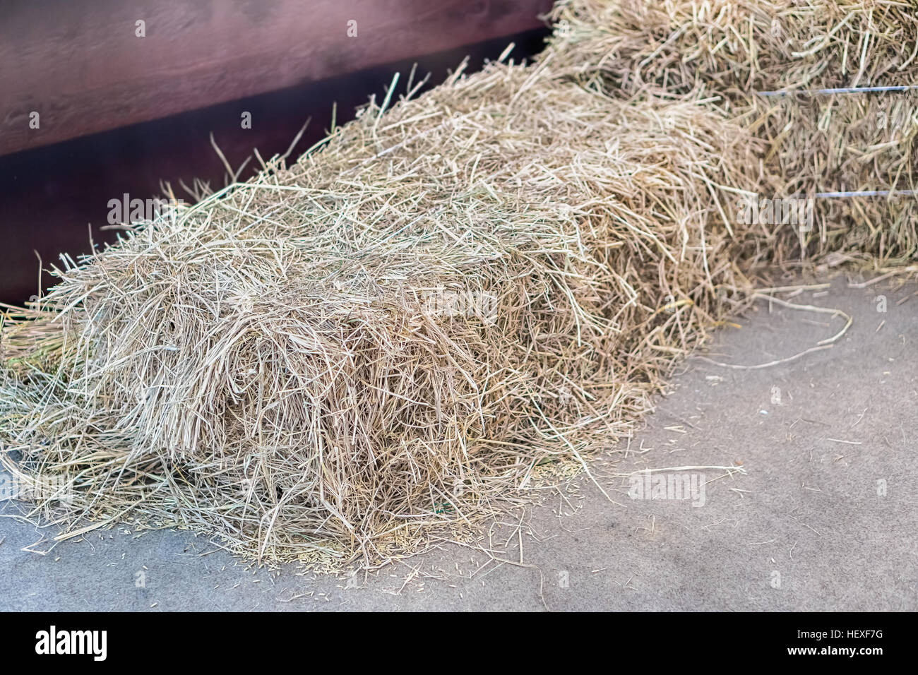 ein Haufen Stroh auf Feld, Stroh Ballen nach der Ernte. Stockfoto