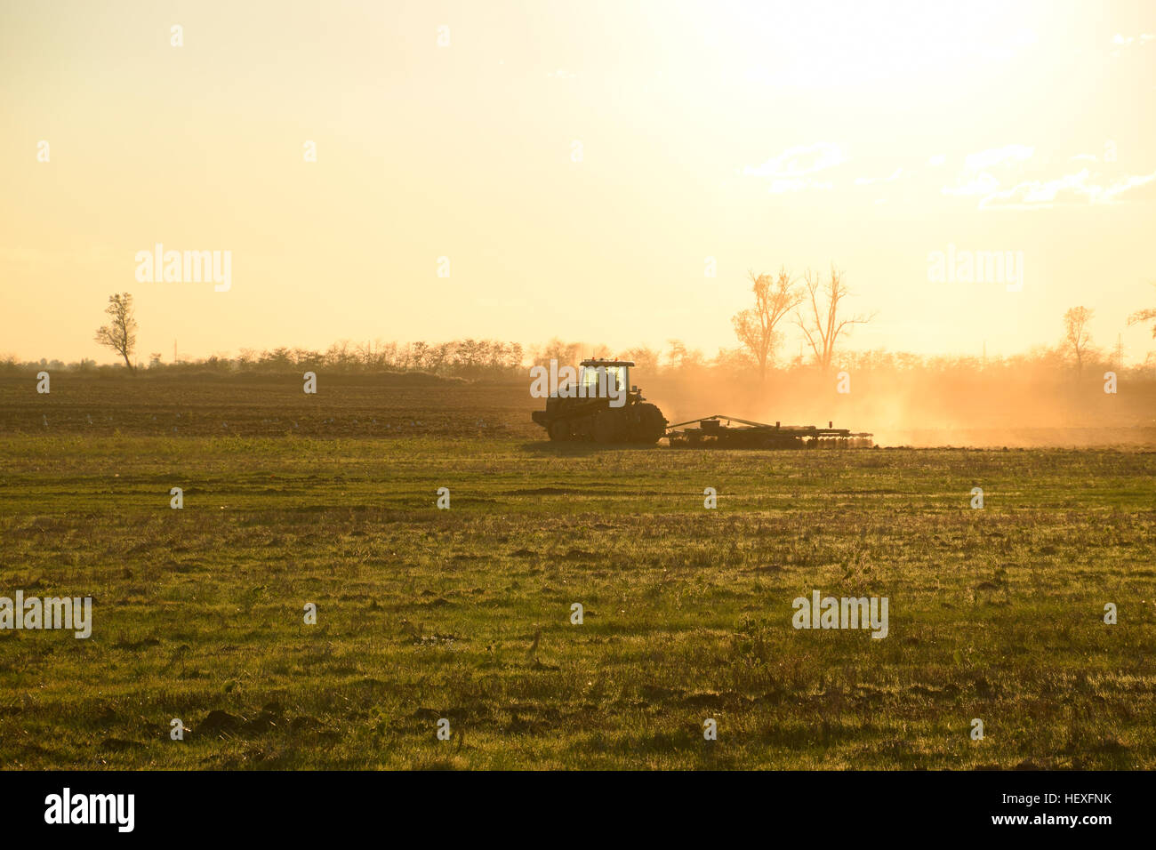 Traktor bei Sonnenuntergang Pflug pflügen ein Feld. Pflügen des Bodens im Herbst nach der Ernte. Zum Ende der Saison. Stockfoto