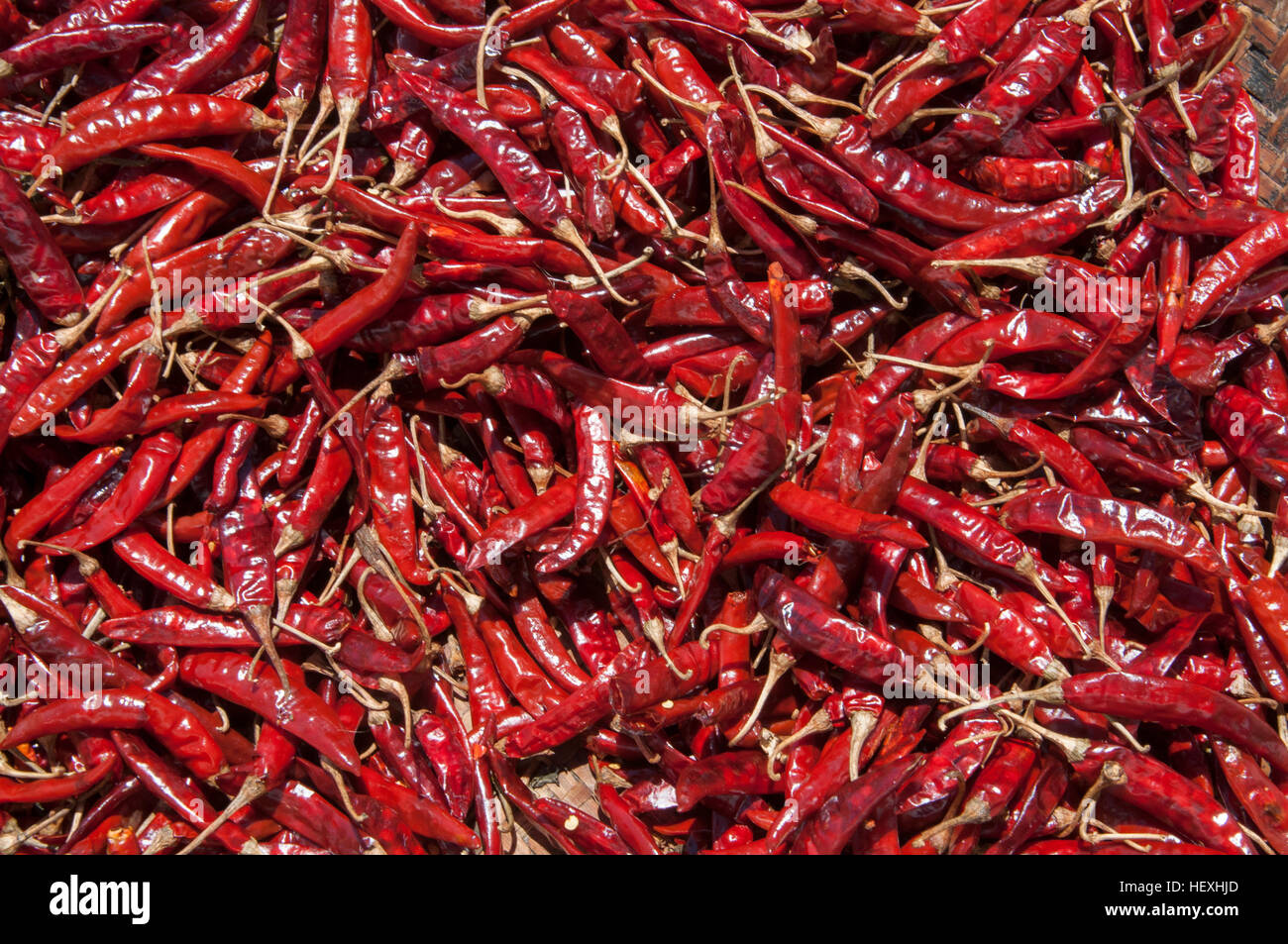 Chilischoten ausgebreitet zum Trocknen in Arunachal Pradesh, Nordost-Indien Stockfoto