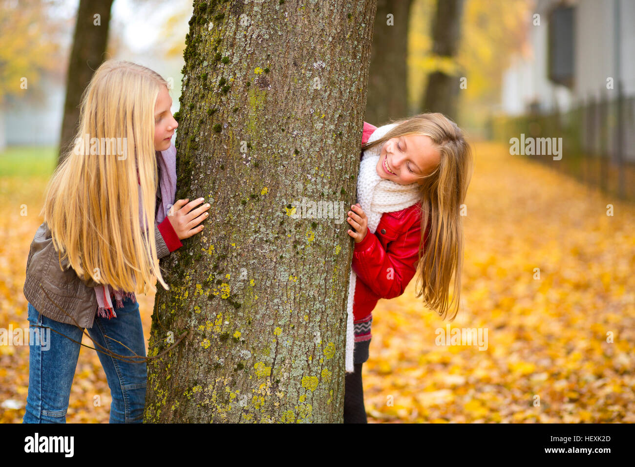 Zwei Mädchen spielen verstecken und suchen im Herbst Stockfoto