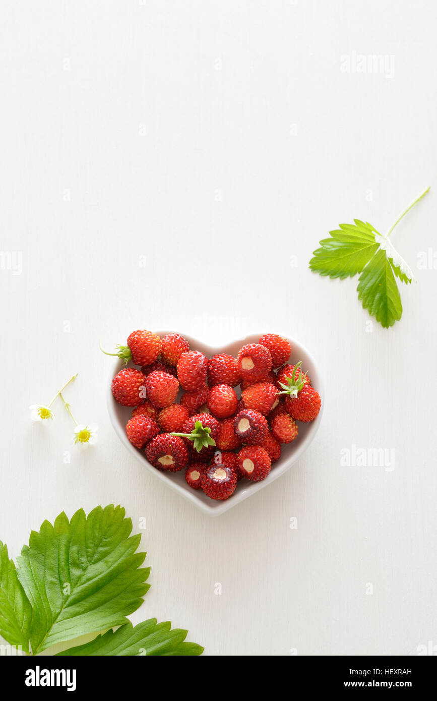 Herzförmige Schüssel mit Walderdbeeren Stockfoto