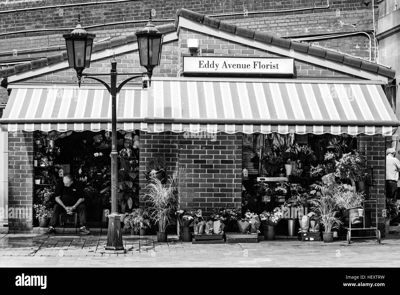 Ein Mann sitzt und wartet auf Kunden im Eddy Avenue Florist am Central Station in Sydney, Australien Stockfoto