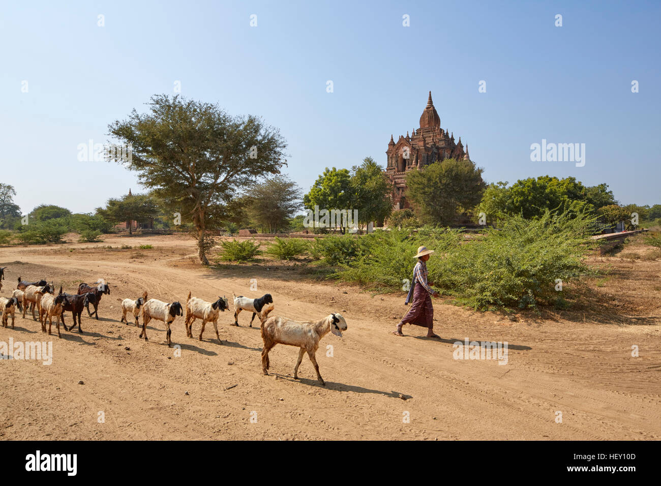 Tha ist Hmauk Gu Hpaya Tempel, Bagan, Myanmar Stockfoto