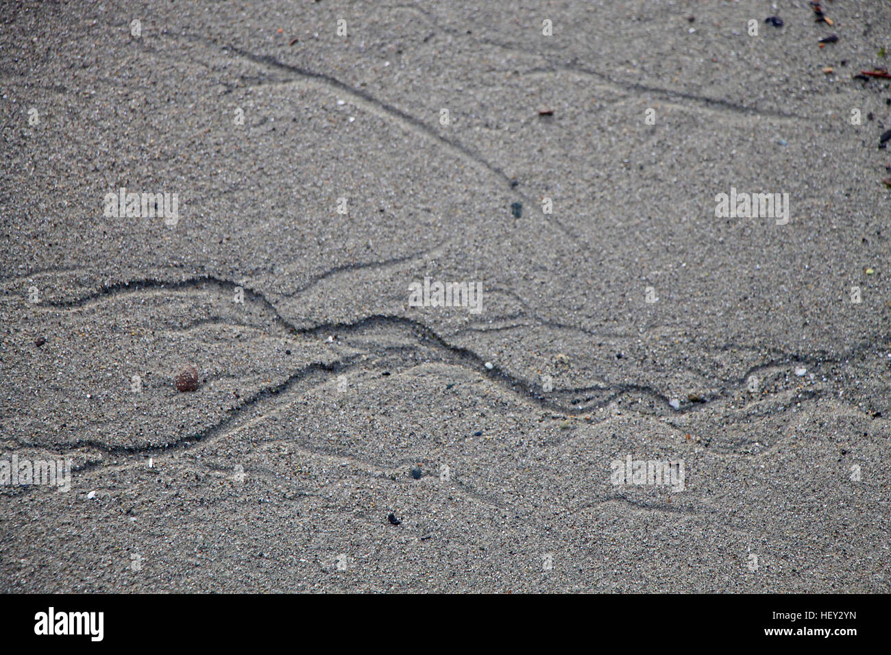 Bach-Impressionen in den Sand in den Puget Sound. Stockfoto