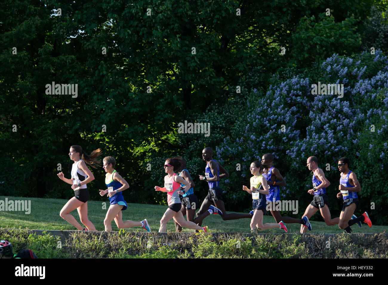 (Ottawa, Kanada---24. Mai 2015) Die Blei-Männer Pack fängt die Rückseite der Elite Frauen Lead-Gruppe in der Canadian National 10k Champions Road racing Stockfoto