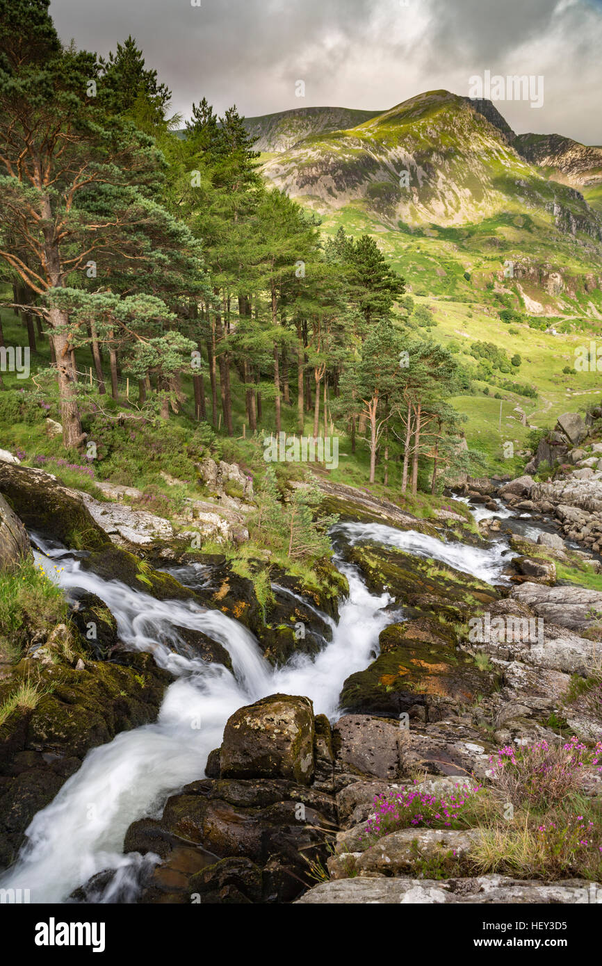 Ein Wasserfall entlang Nant Ogwen Pont Pen-y-Benglog fließt ins Ogwen Tal, Snowdonia. Stockfoto
