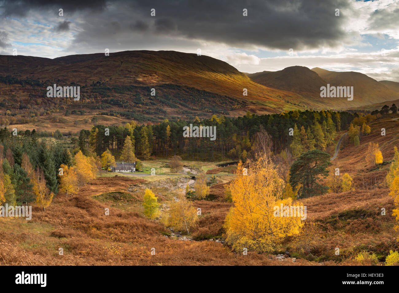 Herbstfärbung entlang Glen Lyon, Perthshire. Stockfoto