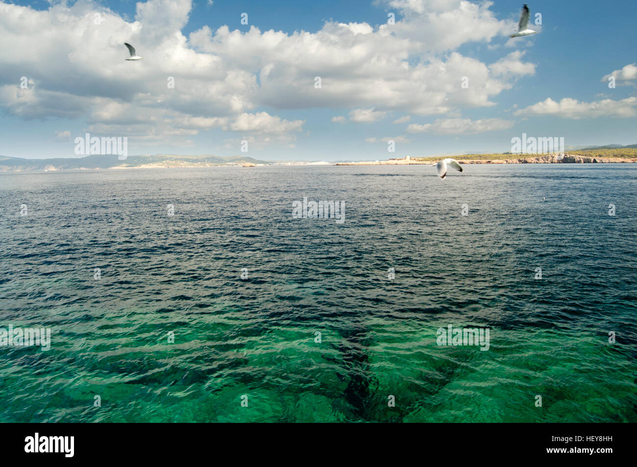 Smaragd farbigen Meer vor der Insel Ibiza Stockfoto
