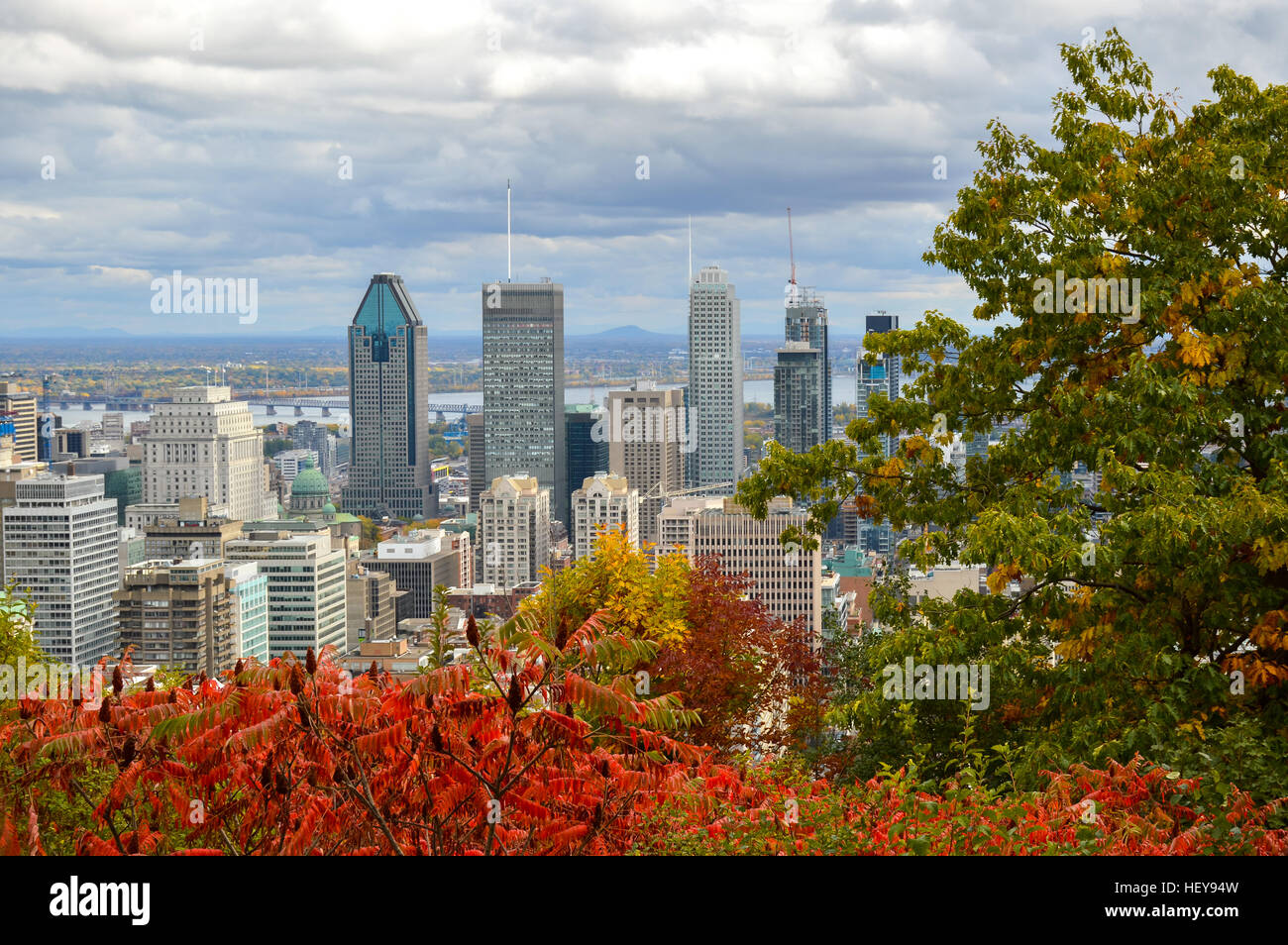 Skyline von Montreal im Herbst, Kanada Stockfoto