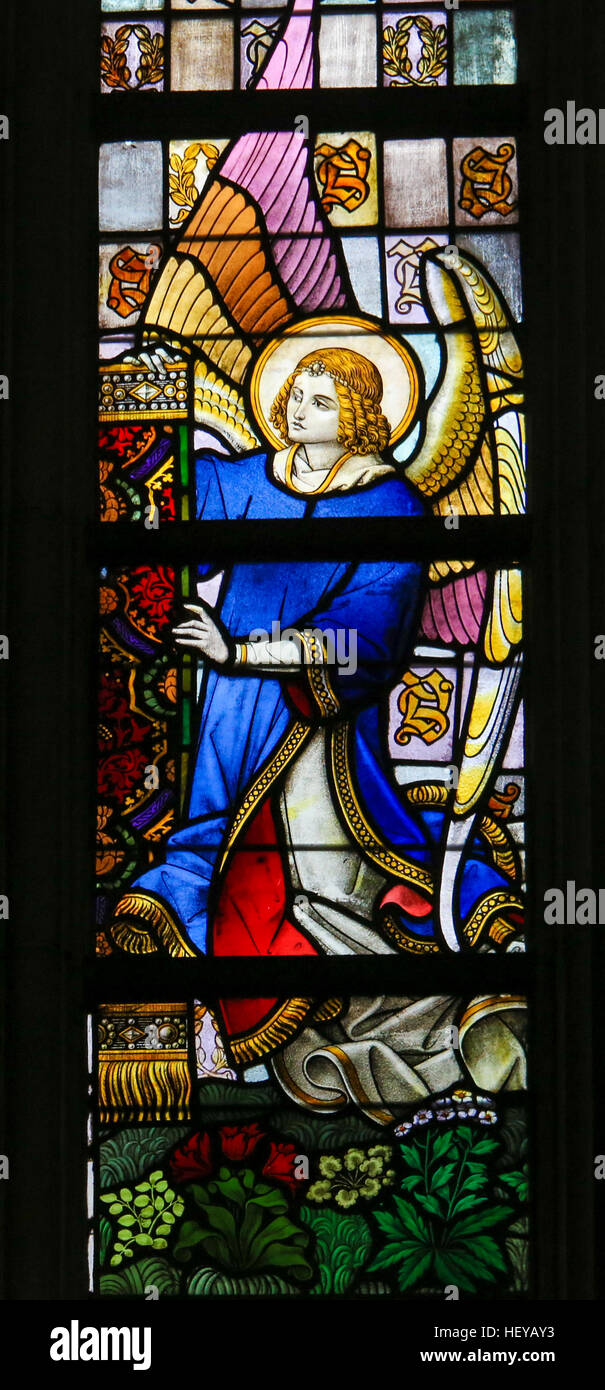 Glasmalerei-Fenster Darstellung eines Engels in der Kathedrale St. Bavo in Gent, Flandern, Belgien. Stockfoto