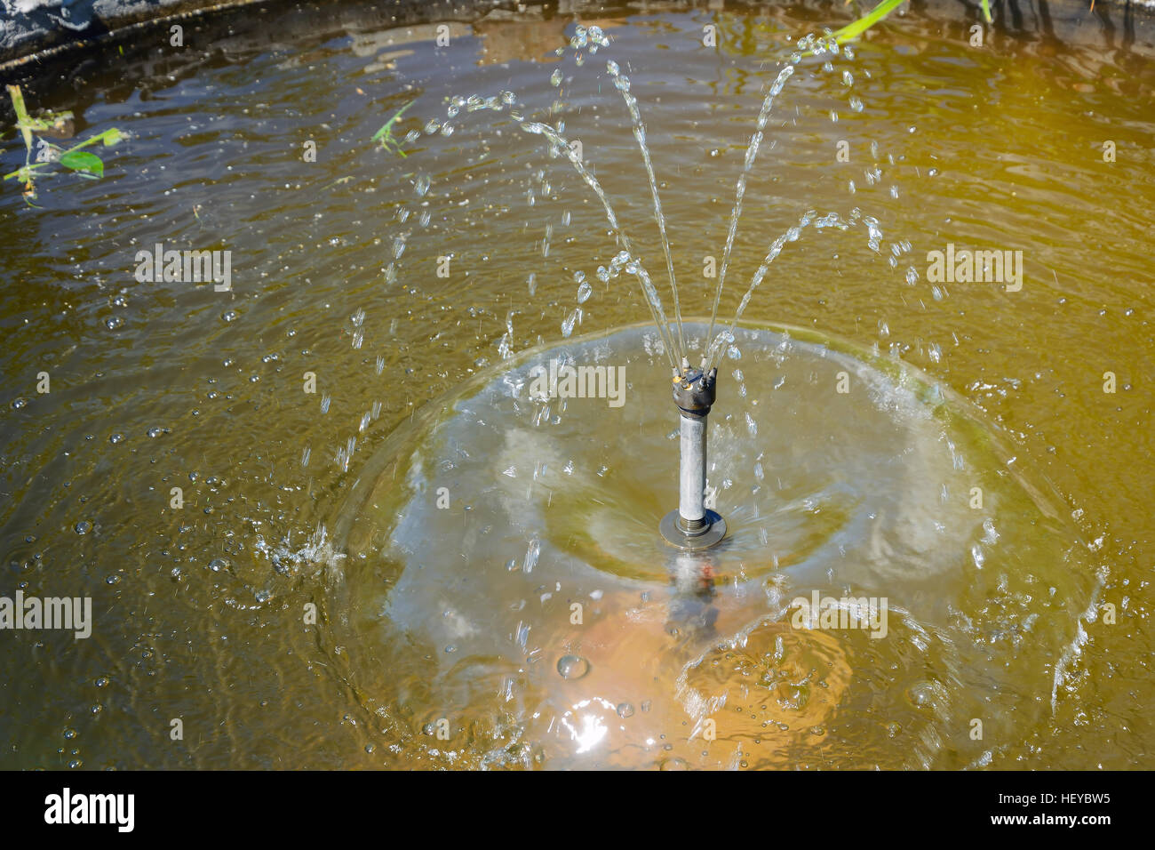 Teich mit Springbrunnen und Wasser Glocke Stockfotografie