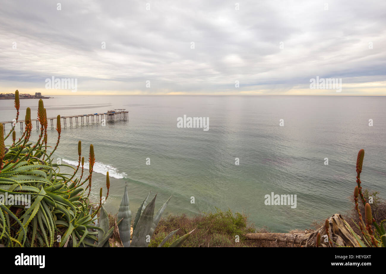 Auf der Suche nach unten am Scripps-Pier und dem Ozean an einem Wintermorgen. La Jolla, Kalifornien. Stockfoto