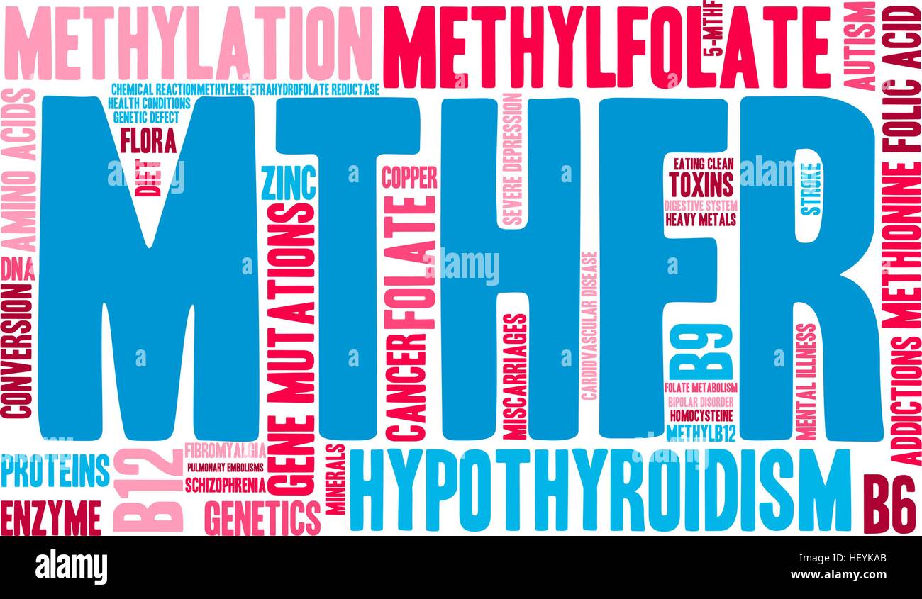 MTHFR Wortwolke auf weißem Hintergrund. Stock Vektor