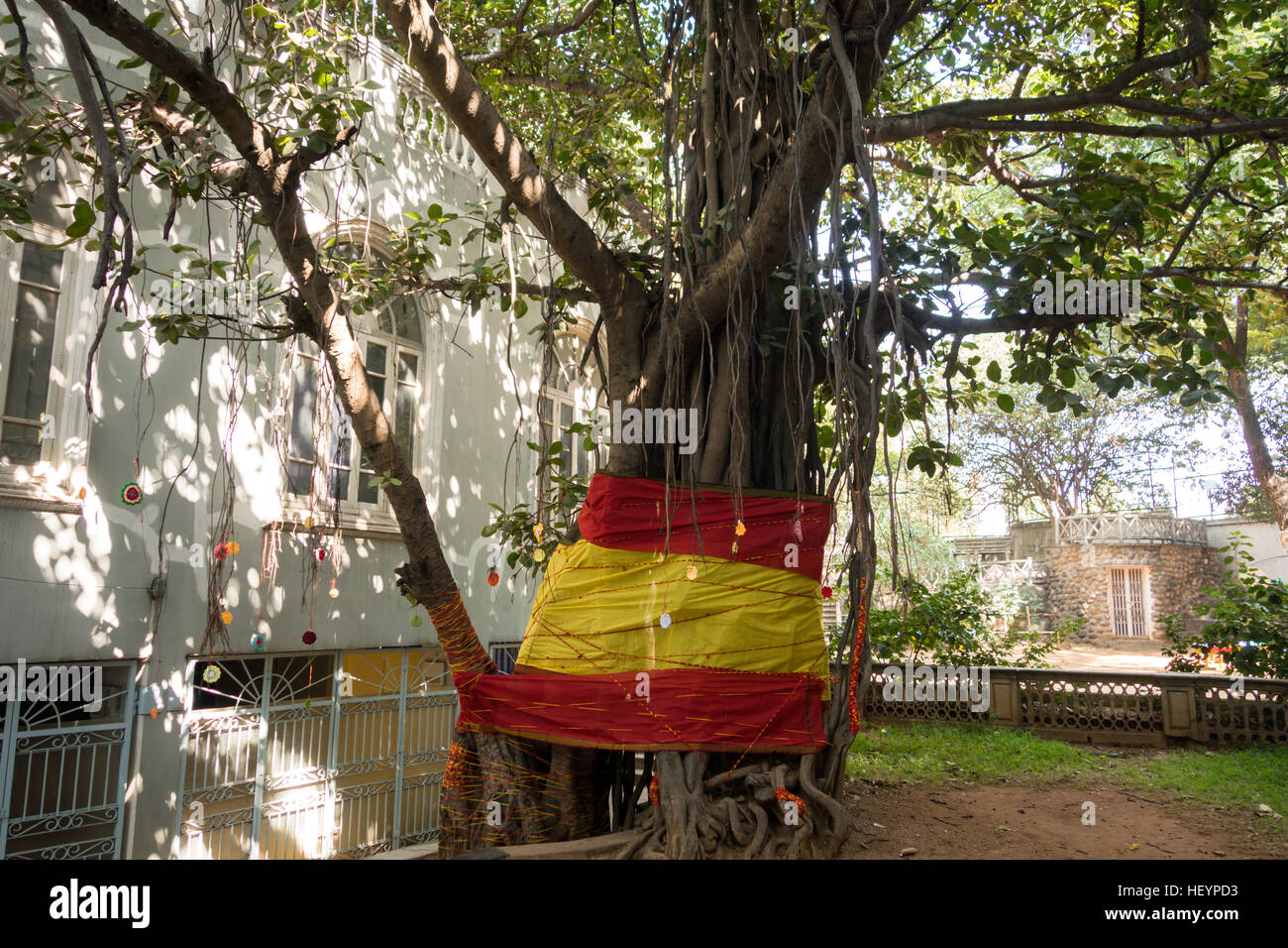 Eine Kunstinstallation von gelb und rot gefärbte Tuch gewickelt um den Baumstamm zu symbolisieren Baum umarmen Stockfoto