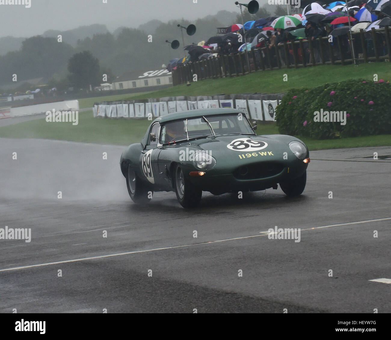 Chris Ward, Gordon Shedden, Jaguar E-Type, Royal Automobile Club TT Feier, Goodwood Revival 2016, 2016, Oldtimer, Goodwood, Goodwood Revival Stockfoto