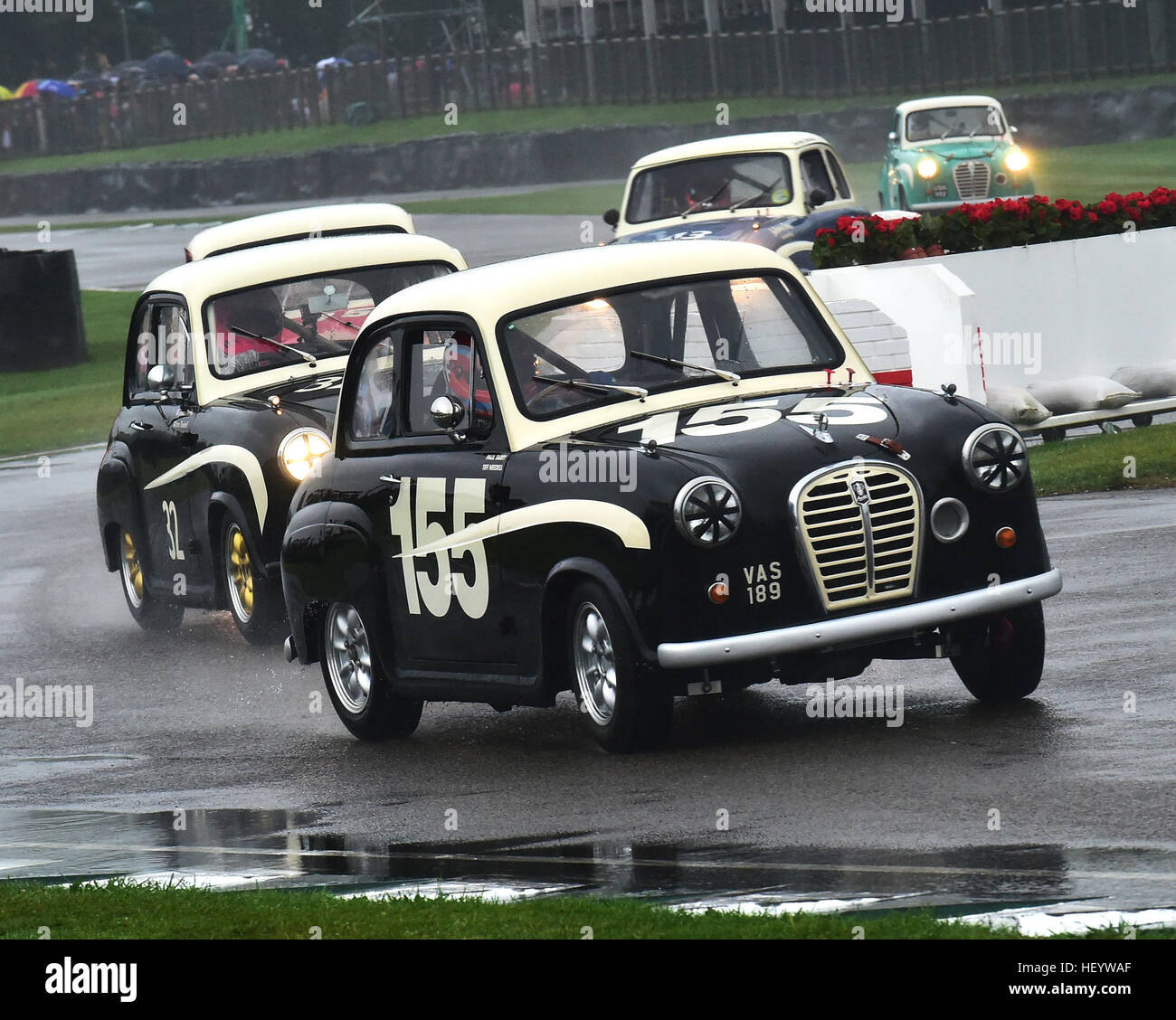 TIFF Needell, Paul Tarry, Austin A35, Str. Marys Trophy, Goodwood Revival 2016, 2016, Oldtimer, Goodwood, Goodwood Revival, Goodwood Revival 2015 Stockfoto